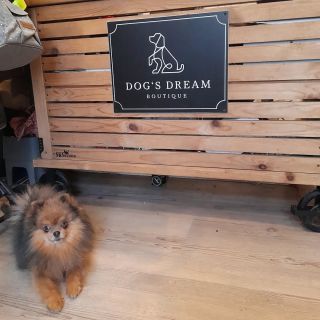 Dnes v práci s paničkou 🤗