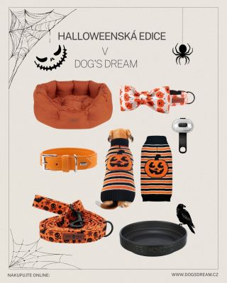 Halloween může být i stylový! Objevte naše obojky s mašlí v limitované halloweenské edici, které rozzáří každou procházku...